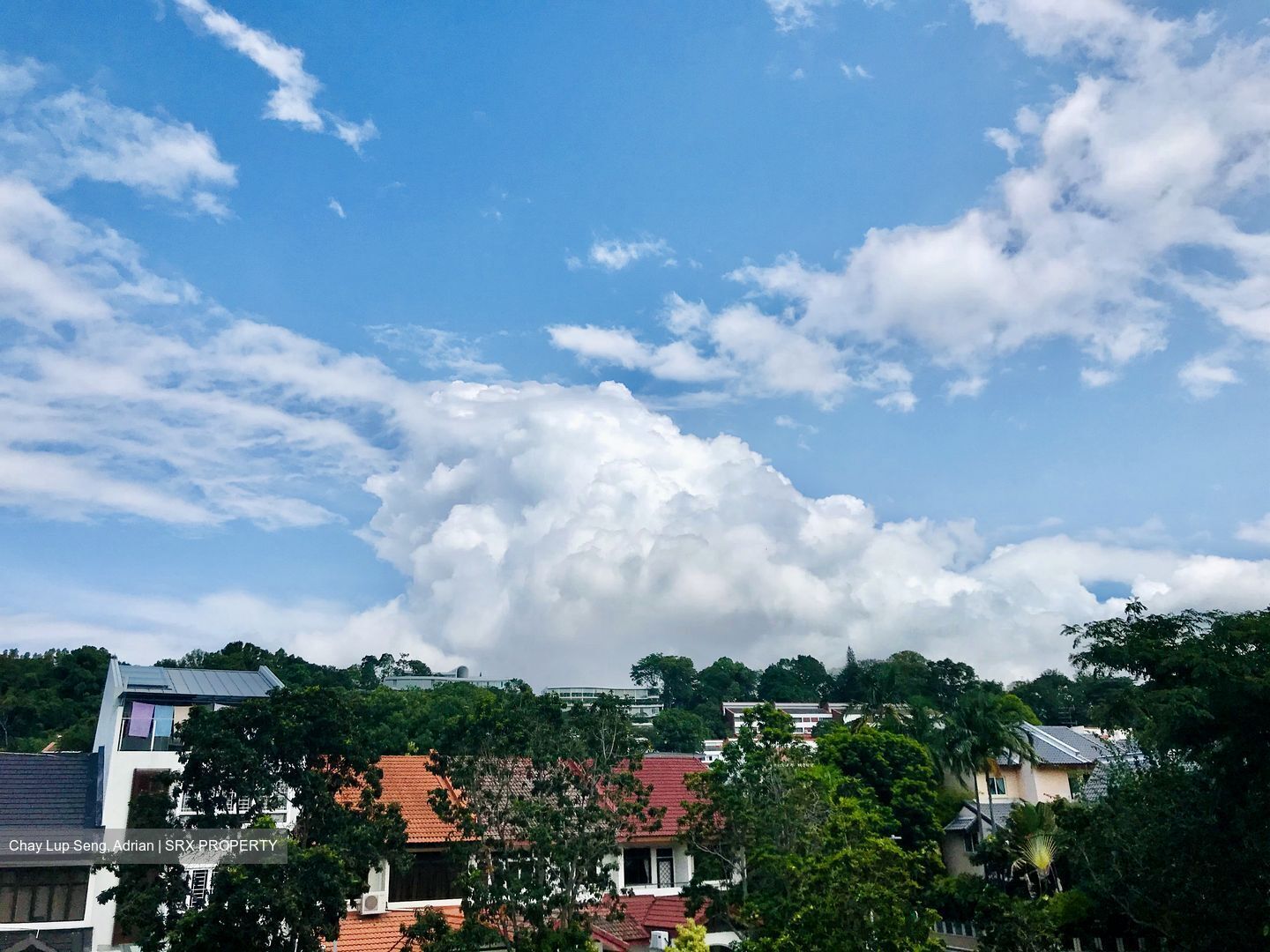 Springwood thumbnail photo